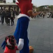 ayaaa