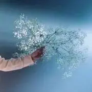 すいの画像