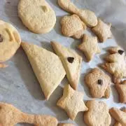 zoo.の画像