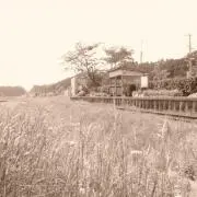 fightlex55の画像