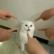 nak