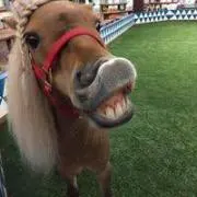 米好きの画像