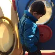 ぽぽん
