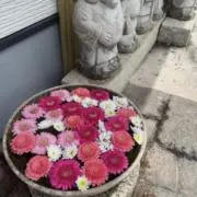 マイマイ⭐︎即購入OK☆値下げ交渉歓迎☆の画像