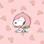しよこ