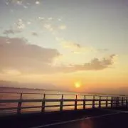 チャーの画像