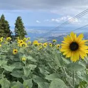 CR_R