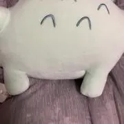 Ｎul
