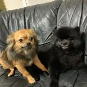 しぇ～いち