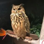 もあの画像