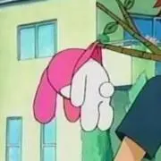 ゆずの画像