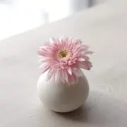 あずきちゃんの画像