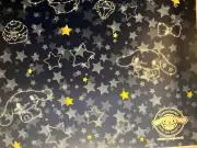 ツバメの画像