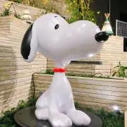 すぬの画像