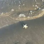 ♩の画像