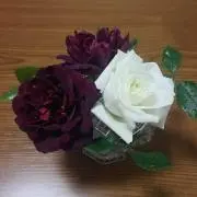 ミル✩プロフご覧下さいの画像