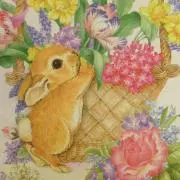 Rabbitの画像