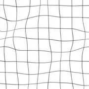 しゃちの画像