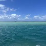 やまの画像