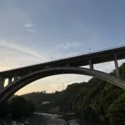 絹ごしとうふの画像
