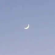 ゆかの画像