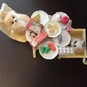 みゆ