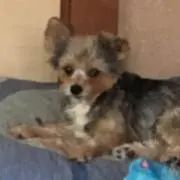 ヒロミ