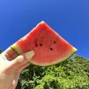 mの画像