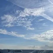 りんの画像