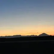 たぬ〇プロフ見てねの画像