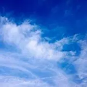 キの画像