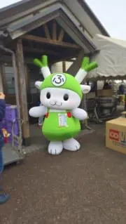 タパ ビパナの画像
