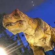 あいまなの画像