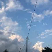 リトルの画像