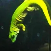 にし
