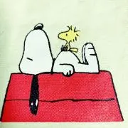 ゆーすたー☆の画像