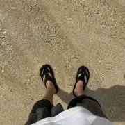 鯉の画像
