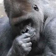 O K