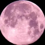 火曜日発送休み*E*の画像