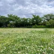 ainjoa