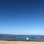 どーなつ