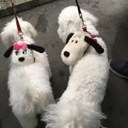 tennonlovemamaプロフ見てね