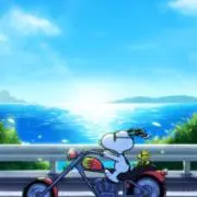 memoryの画像