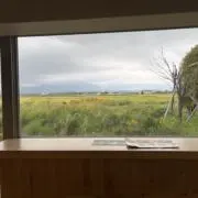 Maruの画像