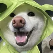 みゆみかの画像