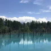 KHY234の画像