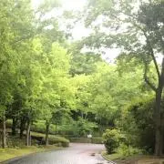 なな