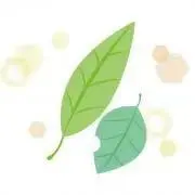 茶葉
