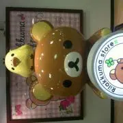 ツバメの画像