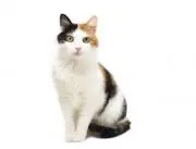 はむはむ※プロフを必読して下さいの画像